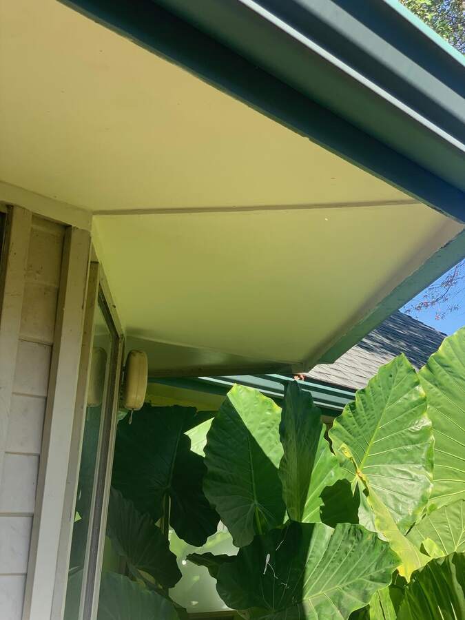 Freshly repaired and painted soffit and fascia on a North Dallas home